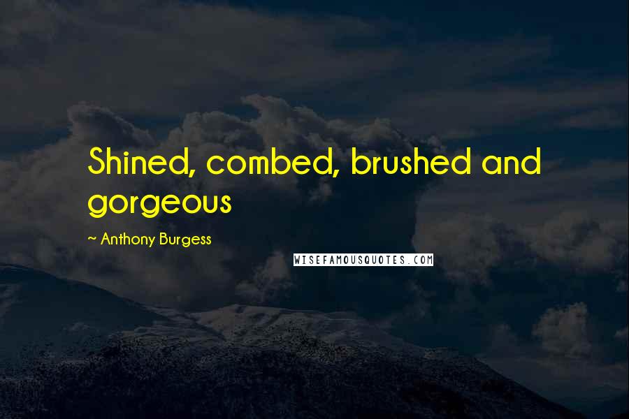 Anthony Burgess Quotes: Shined, combed, brushed and gorgeous