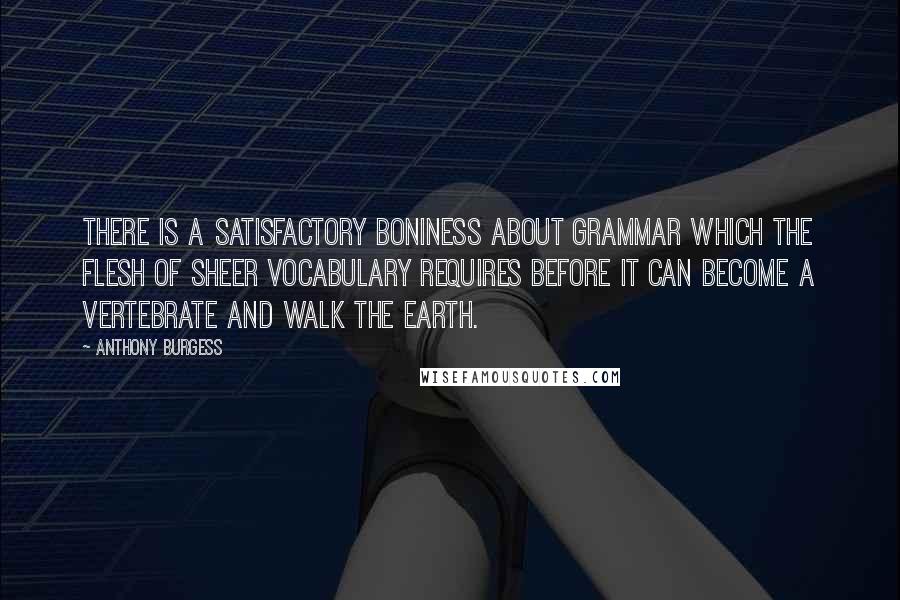 Anthony Burgess Quotes: There is a satisfactory boniness about grammar which the flesh of sheer vocabulary requires before it can become a vertebrate and walk the earth.