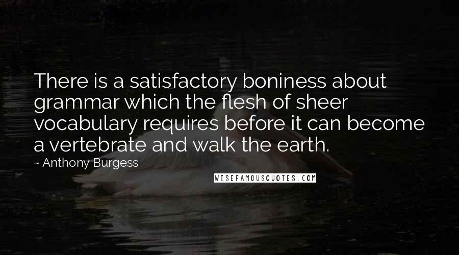 Anthony Burgess Quotes: There is a satisfactory boniness about grammar which the flesh of sheer vocabulary requires before it can become a vertebrate and walk the earth.