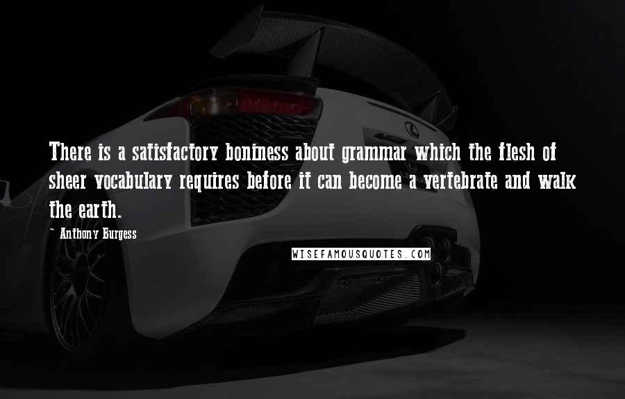 Anthony Burgess Quotes: There is a satisfactory boniness about grammar which the flesh of sheer vocabulary requires before it can become a vertebrate and walk the earth.