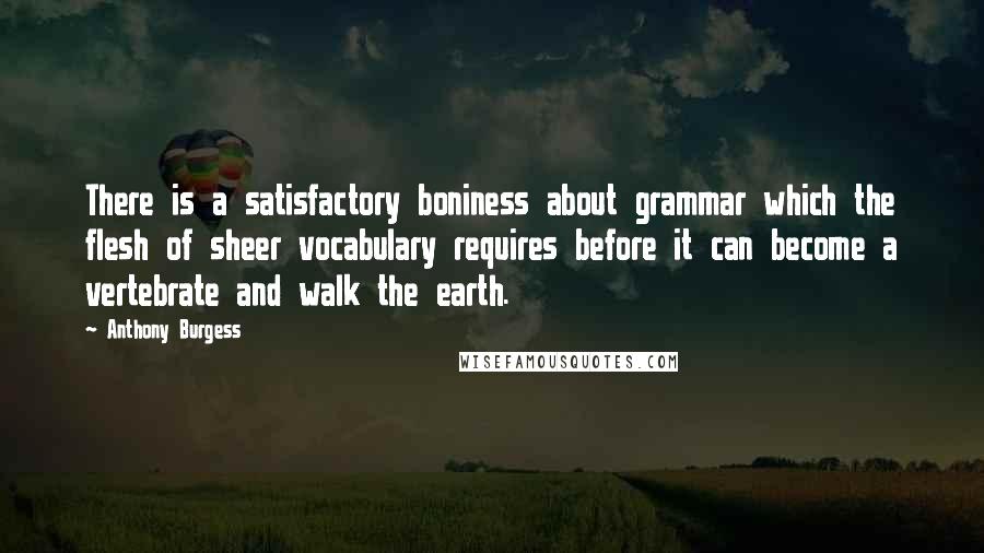 Anthony Burgess Quotes: There is a satisfactory boniness about grammar which the flesh of sheer vocabulary requires before it can become a vertebrate and walk the earth.