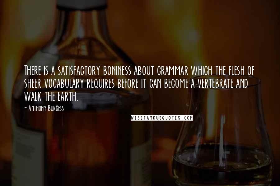 Anthony Burgess Quotes: There is a satisfactory boniness about grammar which the flesh of sheer vocabulary requires before it can become a vertebrate and walk the earth.