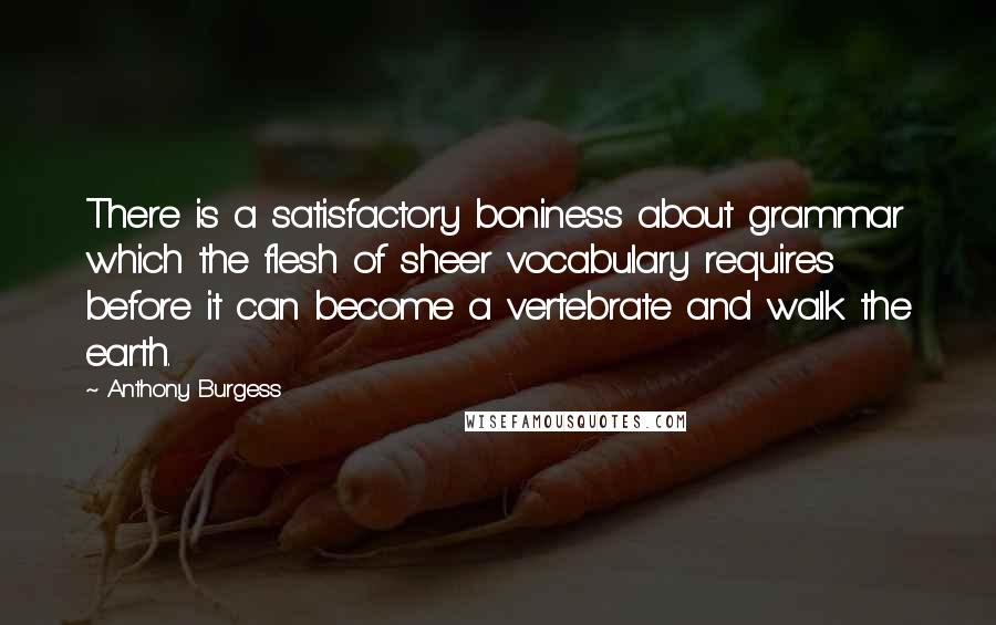 Anthony Burgess Quotes: There is a satisfactory boniness about grammar which the flesh of sheer vocabulary requires before it can become a vertebrate and walk the earth.