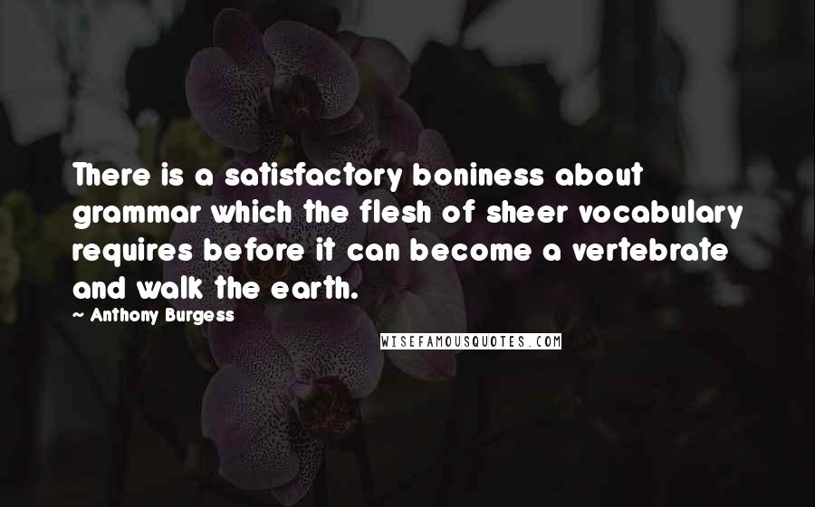 Anthony Burgess Quotes: There is a satisfactory boniness about grammar which the flesh of sheer vocabulary requires before it can become a vertebrate and walk the earth.