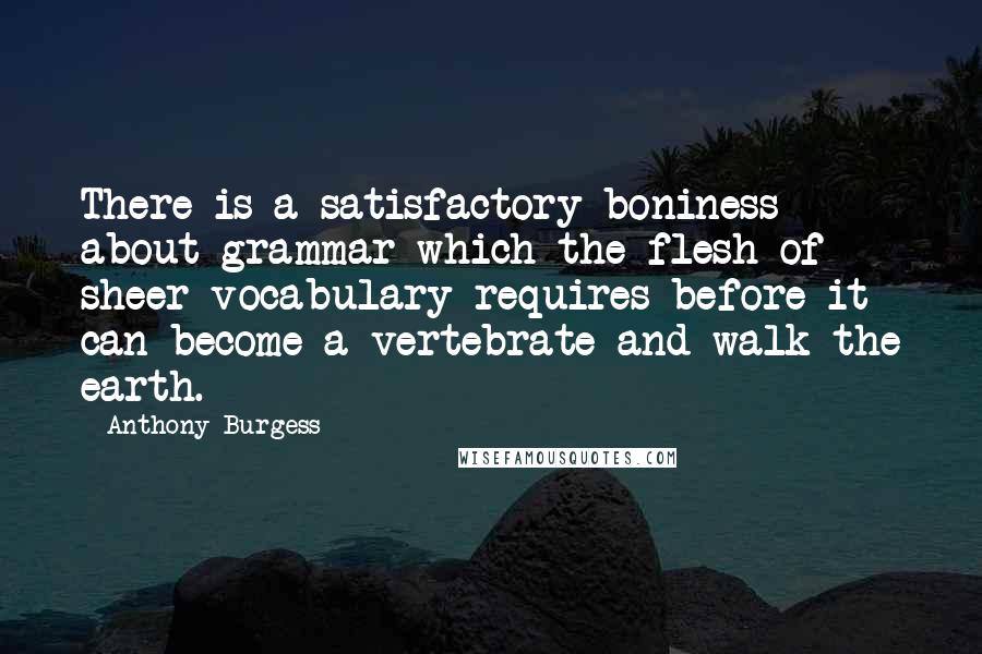 Anthony Burgess Quotes: There is a satisfactory boniness about grammar which the flesh of sheer vocabulary requires before it can become a vertebrate and walk the earth.