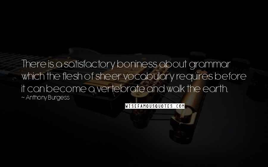 Anthony Burgess Quotes: There is a satisfactory boniness about grammar which the flesh of sheer vocabulary requires before it can become a vertebrate and walk the earth.