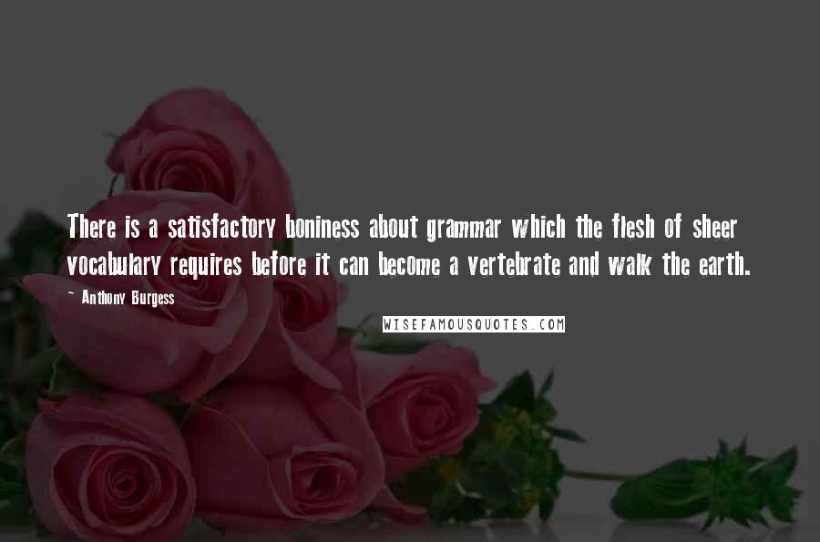 Anthony Burgess Quotes: There is a satisfactory boniness about grammar which the flesh of sheer vocabulary requires before it can become a vertebrate and walk the earth.