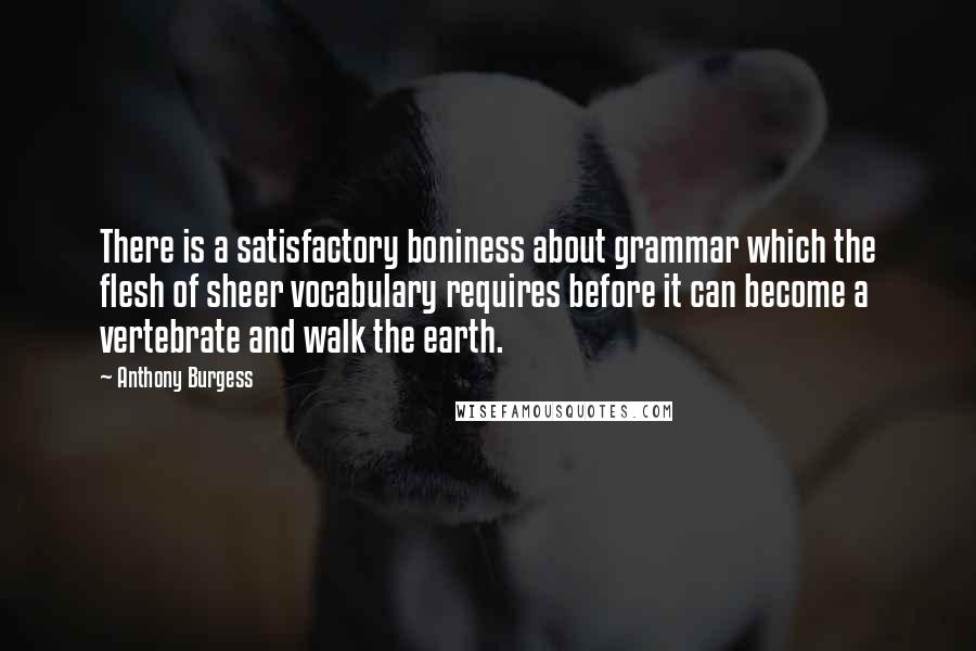 Anthony Burgess Quotes: There is a satisfactory boniness about grammar which the flesh of sheer vocabulary requires before it can become a vertebrate and walk the earth.