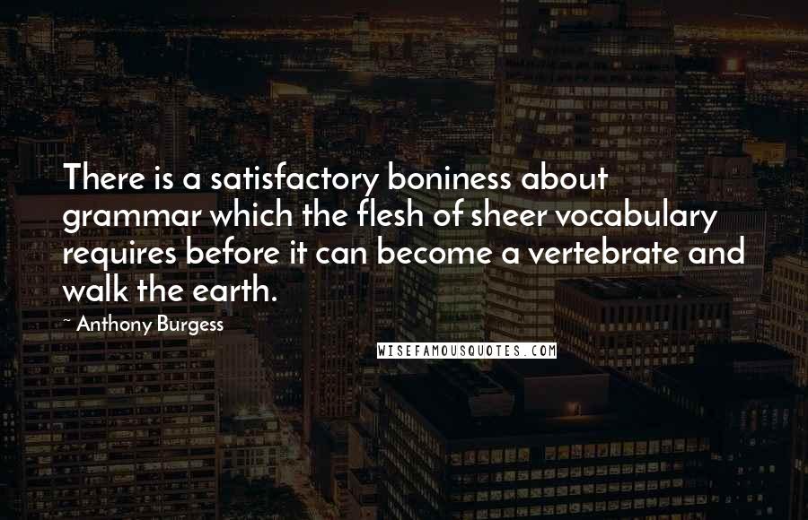 Anthony Burgess Quotes: There is a satisfactory boniness about grammar which the flesh of sheer vocabulary requires before it can become a vertebrate and walk the earth.