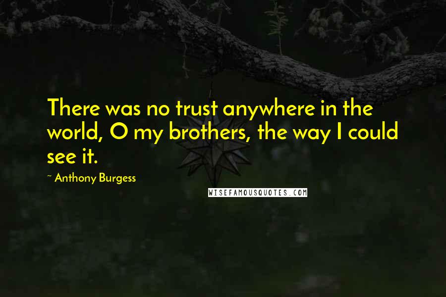 Anthony Burgess Quotes: There was no trust anywhere in the world, O my brothers, the way I could see it.
