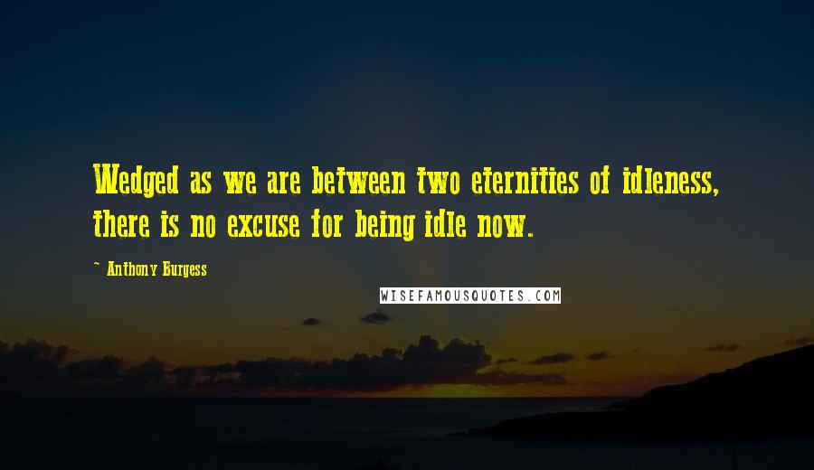 Anthony Burgess Quotes: Wedged as we are between two eternities of idleness, there is no excuse for being idle now.