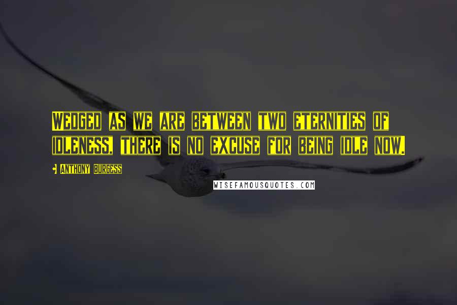 Anthony Burgess Quotes: Wedged as we are between two eternities of idleness, there is no excuse for being idle now.