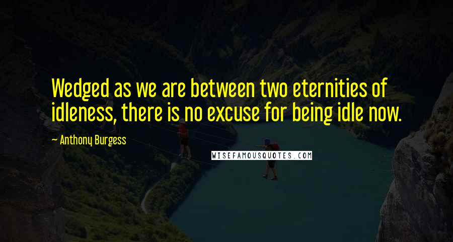 Anthony Burgess Quotes: Wedged as we are between two eternities of idleness, there is no excuse for being idle now.