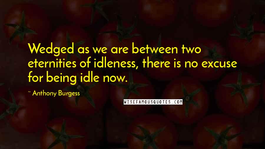 Anthony Burgess Quotes: Wedged as we are between two eternities of idleness, there is no excuse for being idle now.