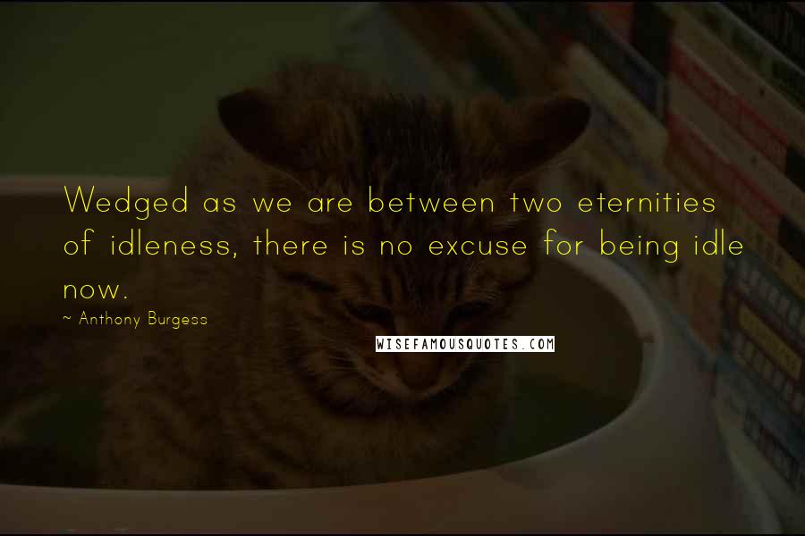 Anthony Burgess Quotes: Wedged as we are between two eternities of idleness, there is no excuse for being idle now.