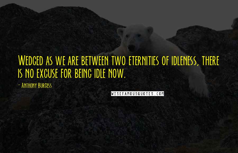 Anthony Burgess Quotes: Wedged as we are between two eternities of idleness, there is no excuse for being idle now.