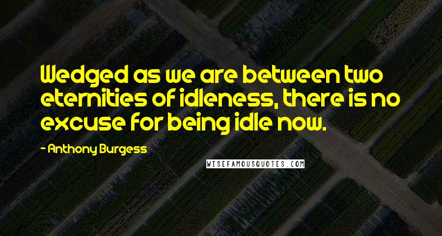 Anthony Burgess Quotes: Wedged as we are between two eternities of idleness, there is no excuse for being idle now.