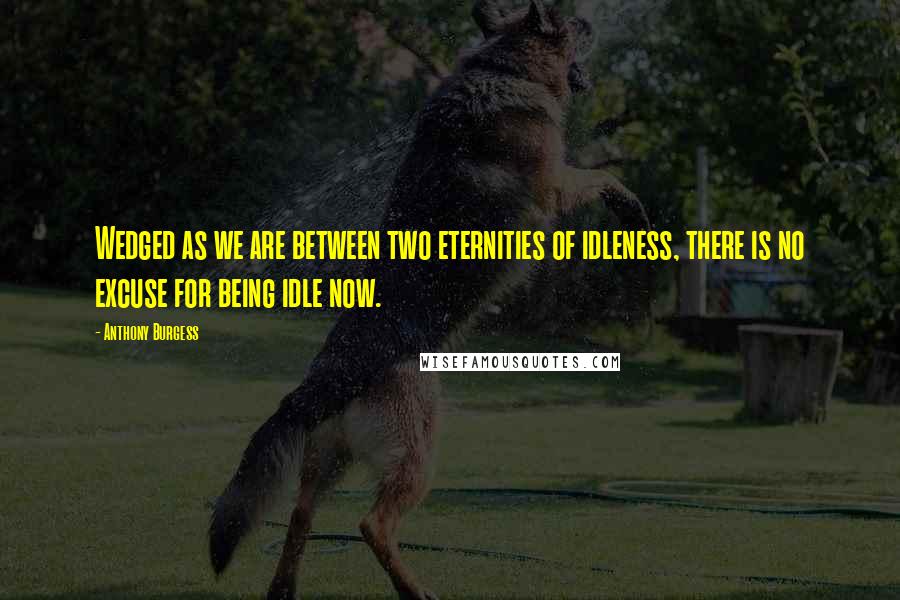 Anthony Burgess Quotes: Wedged as we are between two eternities of idleness, there is no excuse for being idle now.