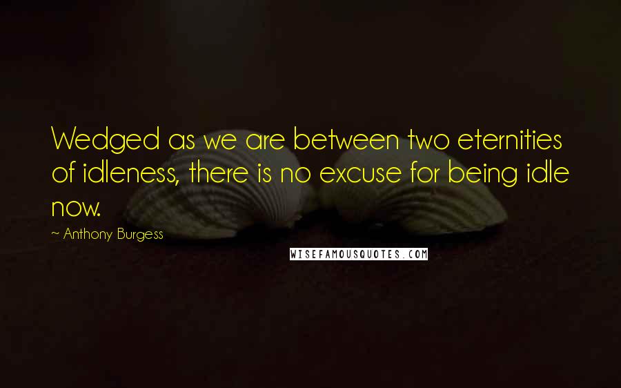 Anthony Burgess Quotes: Wedged as we are between two eternities of idleness, there is no excuse for being idle now.