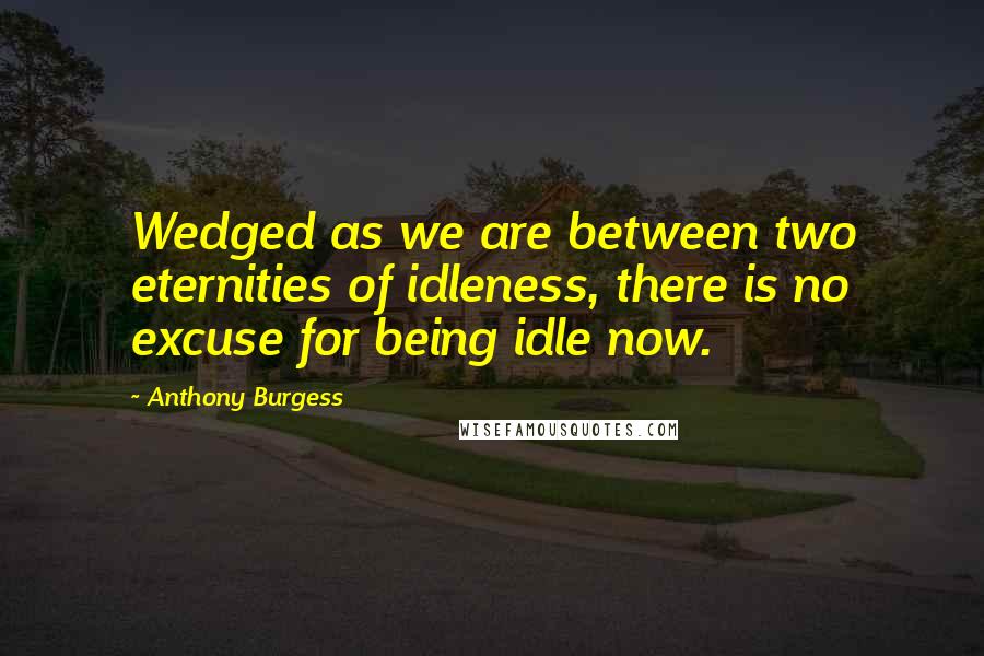 Anthony Burgess Quotes: Wedged as we are between two eternities of idleness, there is no excuse for being idle now.