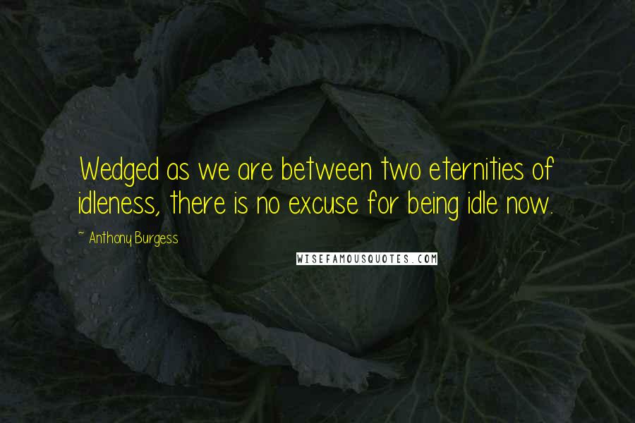 Anthony Burgess Quotes: Wedged as we are between two eternities of idleness, there is no excuse for being idle now.