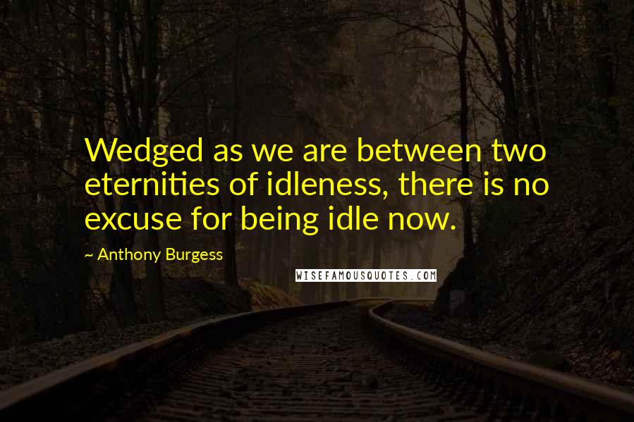Anthony Burgess Quotes: Wedged as we are between two eternities of idleness, there is no excuse for being idle now.