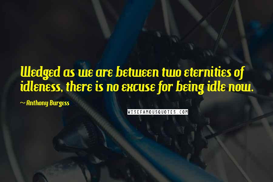 Anthony Burgess Quotes: Wedged as we are between two eternities of idleness, there is no excuse for being idle now.