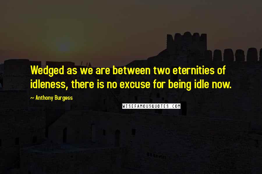 Anthony Burgess Quotes: Wedged as we are between two eternities of idleness, there is no excuse for being idle now.