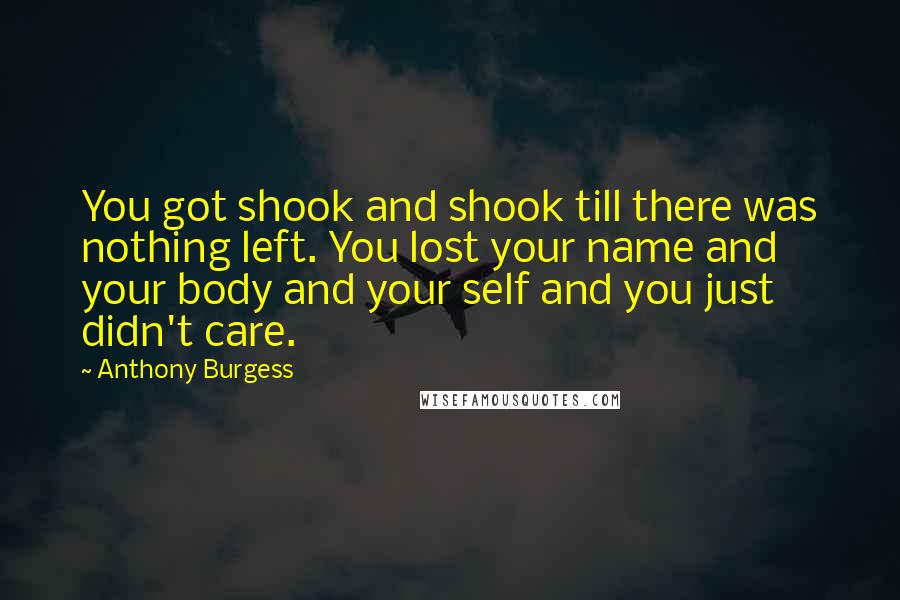 Anthony Burgess Quotes: You got shook and shook till there was nothing left. You lost your name and your body and your self and you just didn't care.