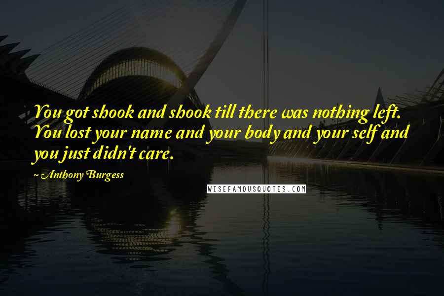 Anthony Burgess Quotes: You got shook and shook till there was nothing left. You lost your name and your body and your self and you just didn't care.