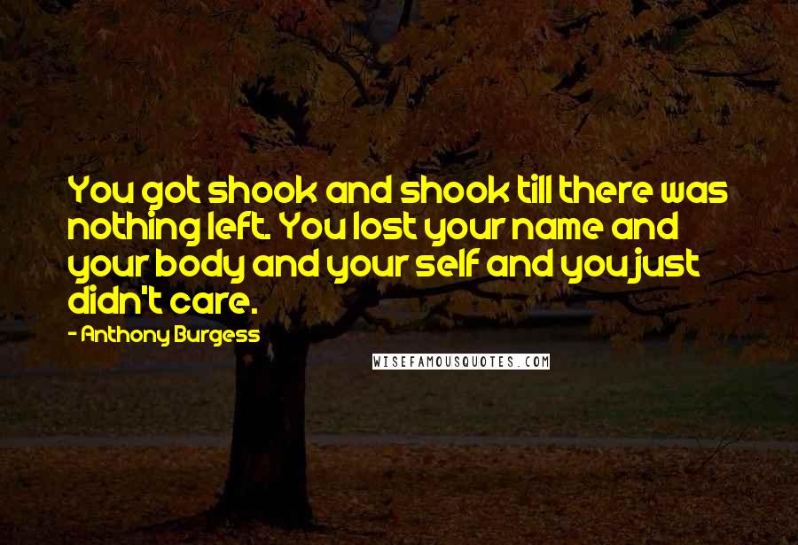 Anthony Burgess Quotes: You got shook and shook till there was nothing left. You lost your name and your body and your self and you just didn't care.