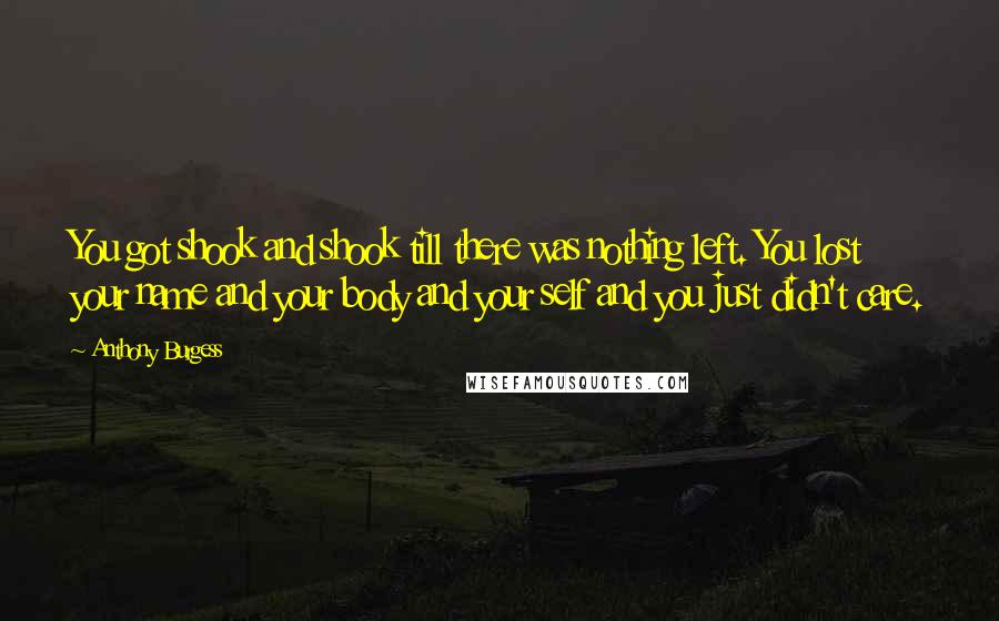 Anthony Burgess Quotes: You got shook and shook till there was nothing left. You lost your name and your body and your self and you just didn't care.