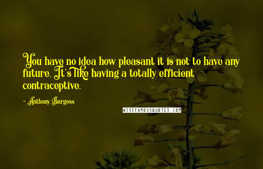 Anthony Burgess Quotes: You have no idea how pleasant it is not to have any future. It's like having a totally efficient contraceptive.