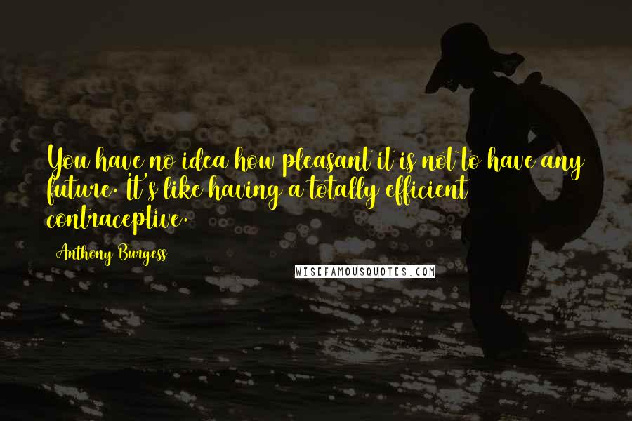 Anthony Burgess Quotes: You have no idea how pleasant it is not to have any future. It's like having a totally efficient contraceptive.