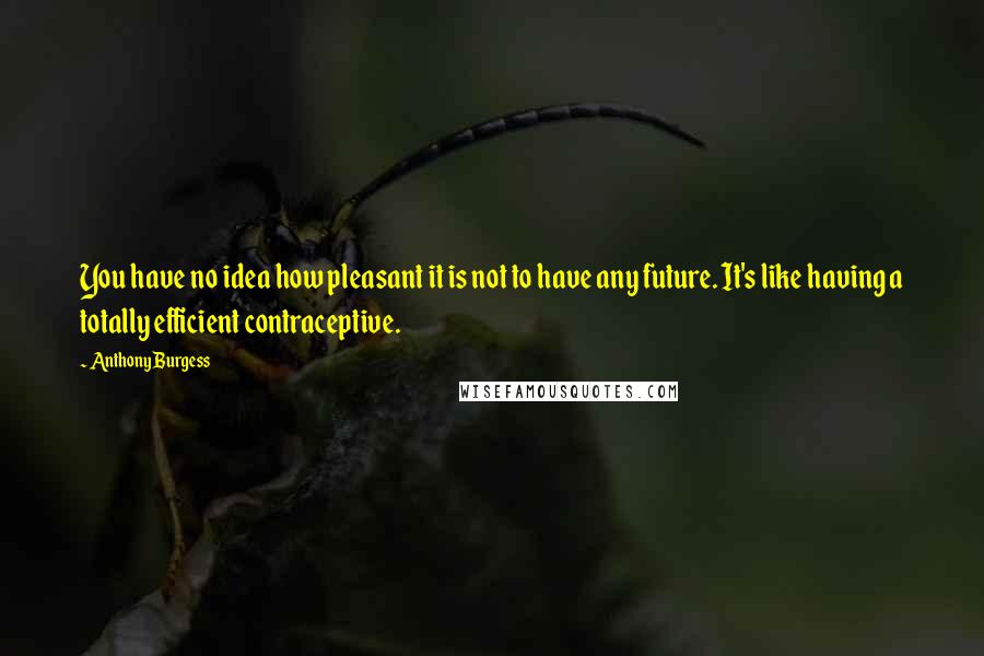 Anthony Burgess Quotes: You have no idea how pleasant it is not to have any future. It's like having a totally efficient contraceptive.