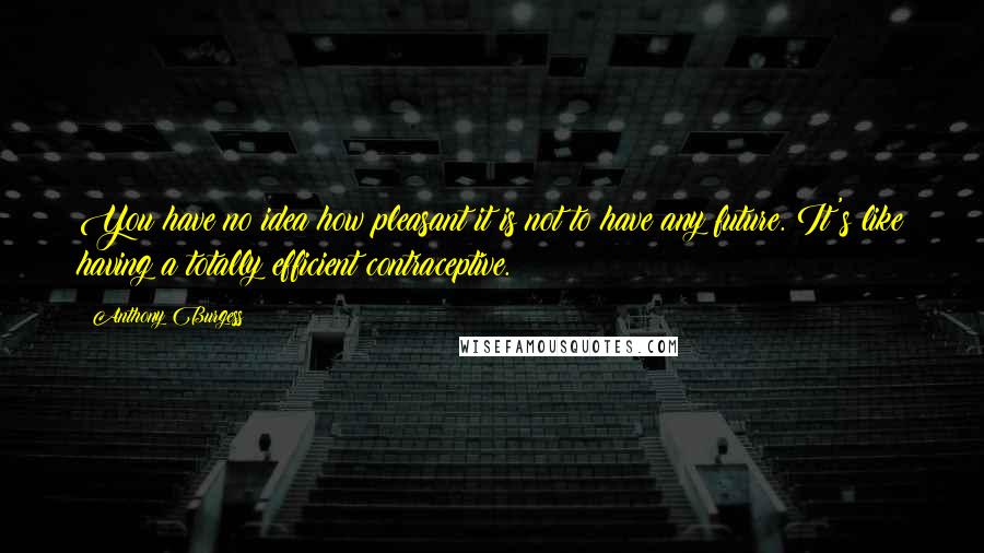 Anthony Burgess Quotes: You have no idea how pleasant it is not to have any future. It's like having a totally efficient contraceptive.