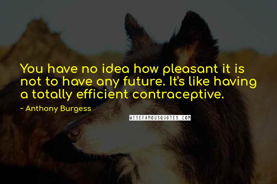 Anthony Burgess Quotes: You have no idea how pleasant it is not to have any future. It's like having a totally efficient contraceptive.