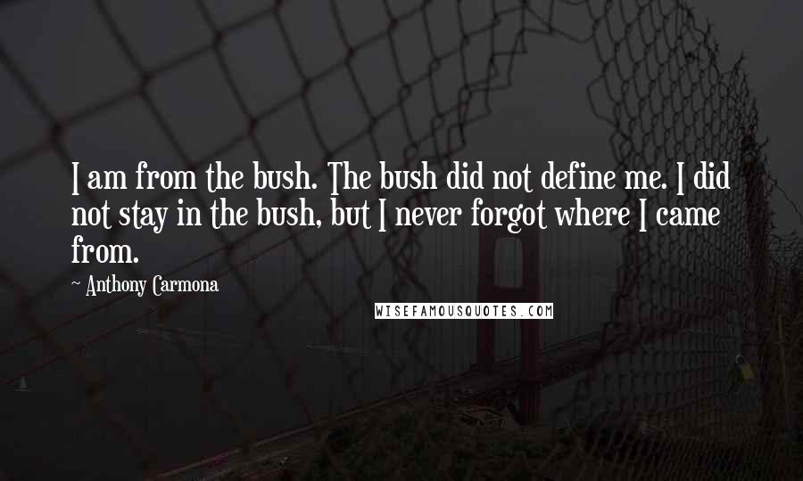 Anthony Carmona Quotes: I am from the bush. The bush did not define me. I did not stay in the bush, but I never forgot where I came from.