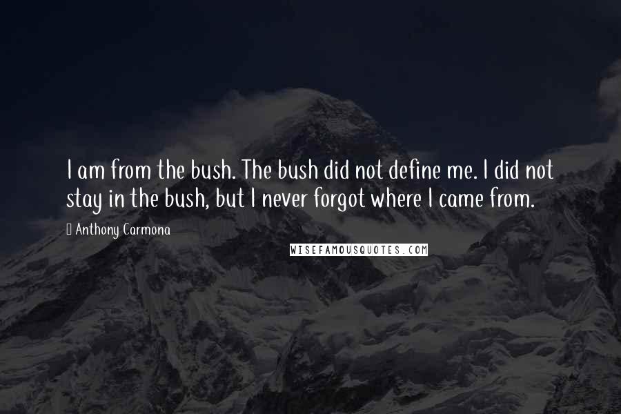 Anthony Carmona Quotes: I am from the bush. The bush did not define me. I did not stay in the bush, but I never forgot where I came from.