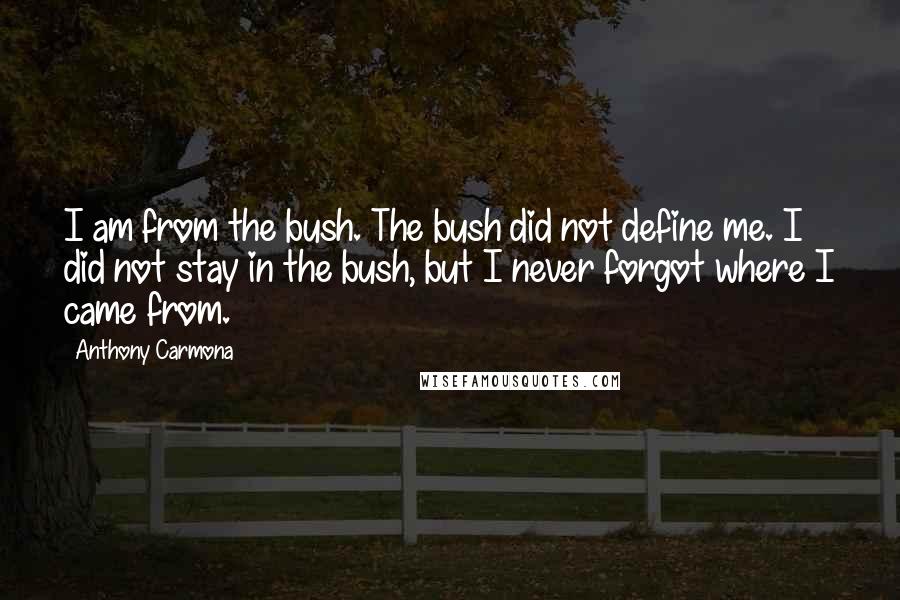 Anthony Carmona Quotes: I am from the bush. The bush did not define me. I did not stay in the bush, but I never forgot where I came from.