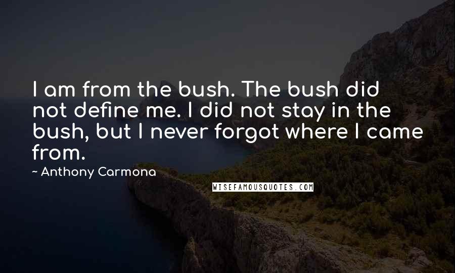 Anthony Carmona Quotes: I am from the bush. The bush did not define me. I did not stay in the bush, but I never forgot where I came from.