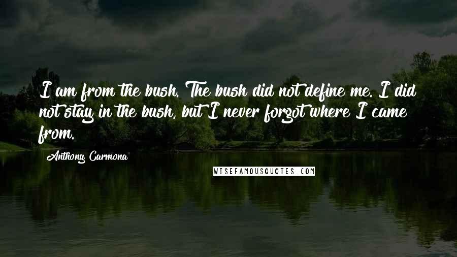 Anthony Carmona Quotes: I am from the bush. The bush did not define me. I did not stay in the bush, but I never forgot where I came from.