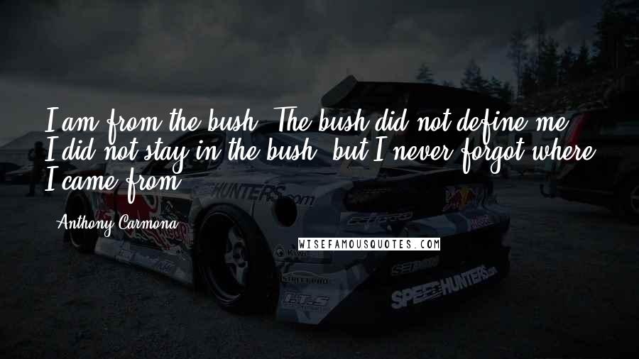 Anthony Carmona Quotes: I am from the bush. The bush did not define me. I did not stay in the bush, but I never forgot where I came from.