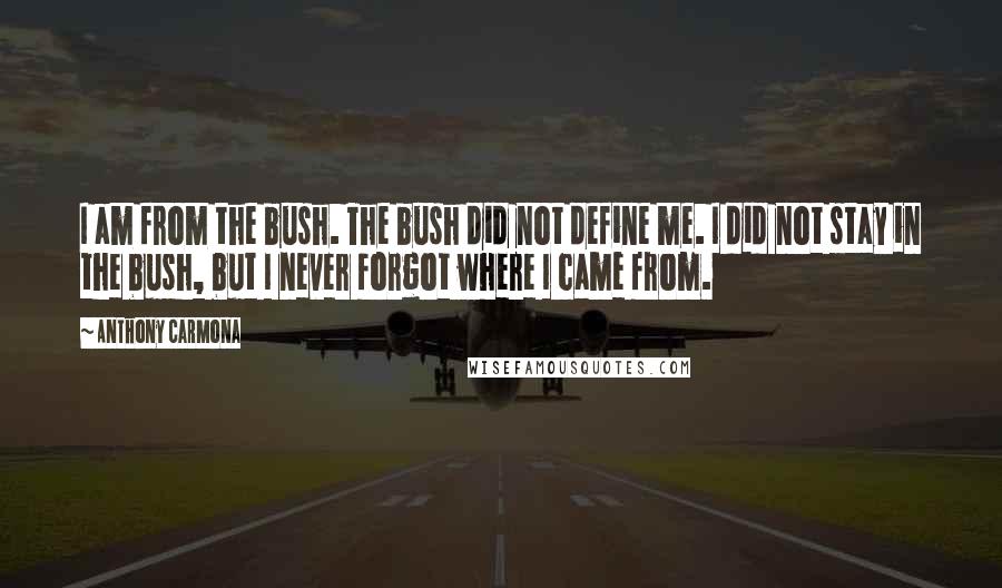 Anthony Carmona Quotes: I am from the bush. The bush did not define me. I did not stay in the bush, but I never forgot where I came from.