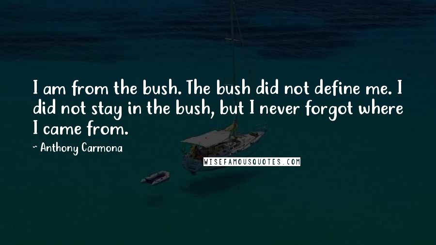 Anthony Carmona Quotes: I am from the bush. The bush did not define me. I did not stay in the bush, but I never forgot where I came from.