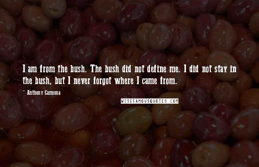 Anthony Carmona Quotes: I am from the bush. The bush did not define me. I did not stay in the bush, but I never forgot where I came from.