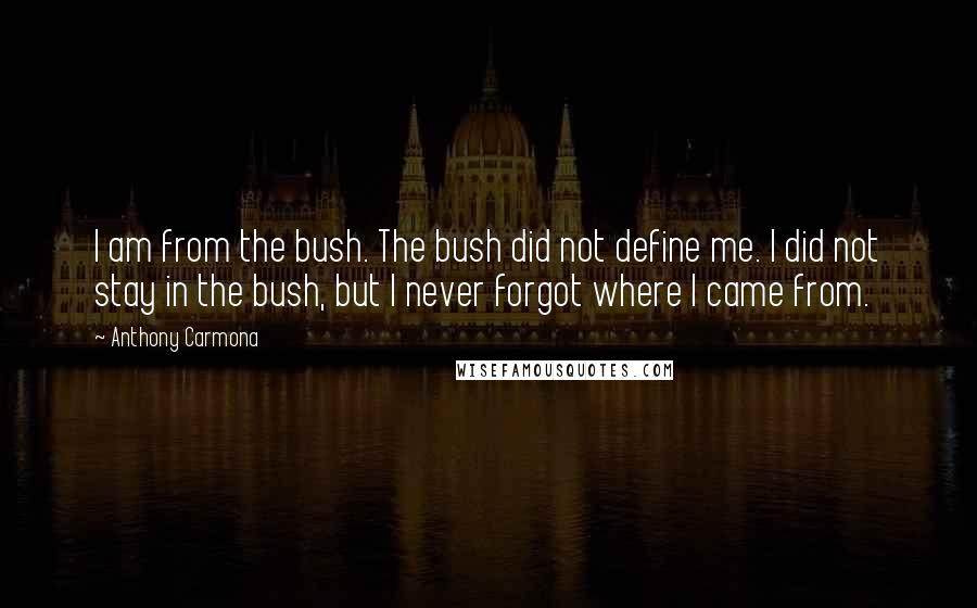 Anthony Carmona Quotes: I am from the bush. The bush did not define me. I did not stay in the bush, but I never forgot where I came from.