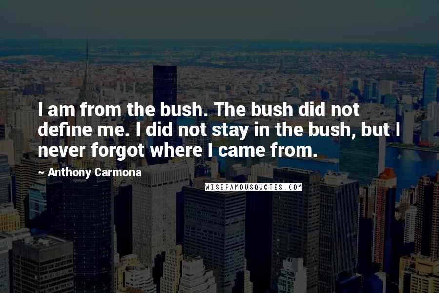 Anthony Carmona Quotes: I am from the bush. The bush did not define me. I did not stay in the bush, but I never forgot where I came from.