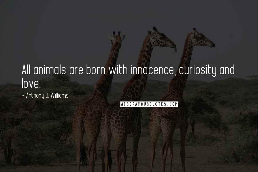 Anthony D. Williams Quotes: All animals are born with innocence, curiosity and love.