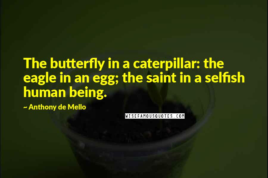Anthony De Mello Quotes: The butterfly in a caterpillar: the eagle in an egg; the saint in a selfish human being.
